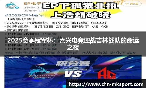 2025赛季冠军杯：嘉兴电竞迎战吉林战队的命运之夜